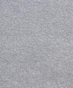 Elanus Grey