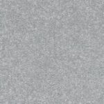 Elanus Grey