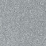 Elanus Grey