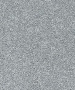 Elanus Grey