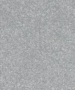 Elanus Grey