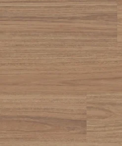 Hylia Spotted Gum — Enchanted