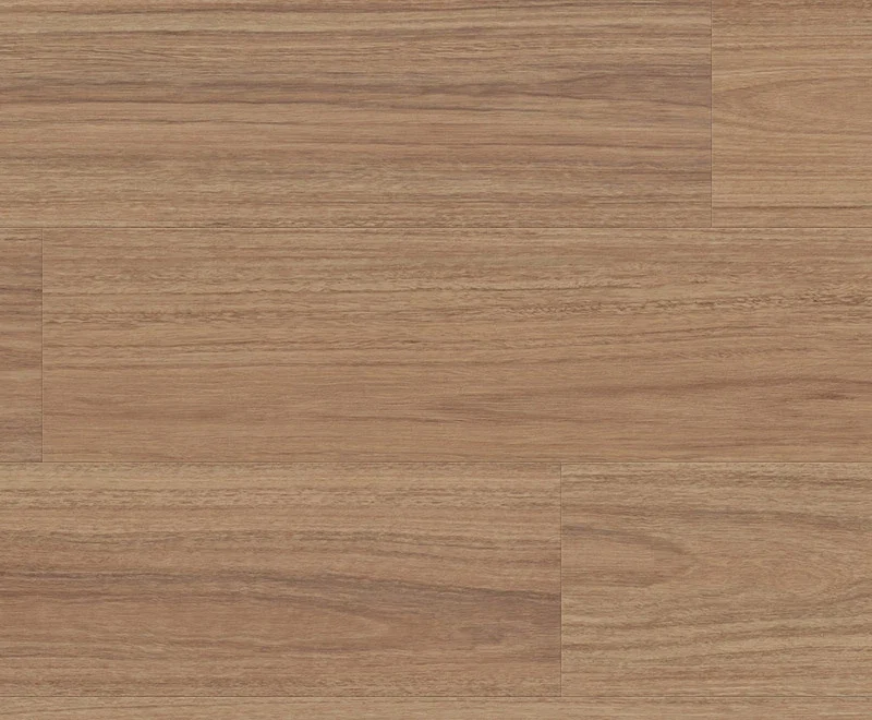 Hylia Spotted Gum — Enchanted