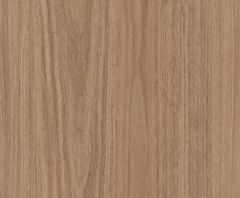 Hylia Spotted Gum — Enchanted