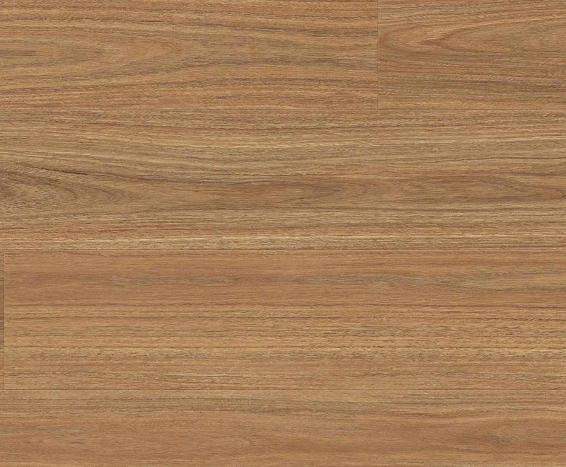 Lorien Spotted Gum — Enchanted