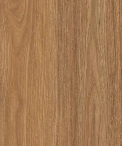 Lorien Spotted Gum — Enchanted