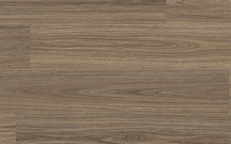 Titania Spotted Gum — Enchanted