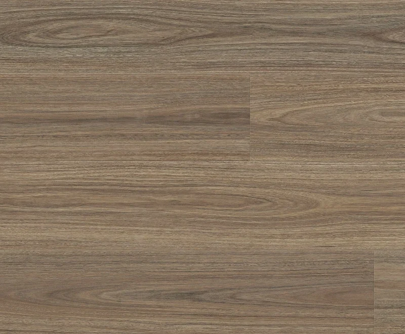 Titania Spotted Gum — Enchanted