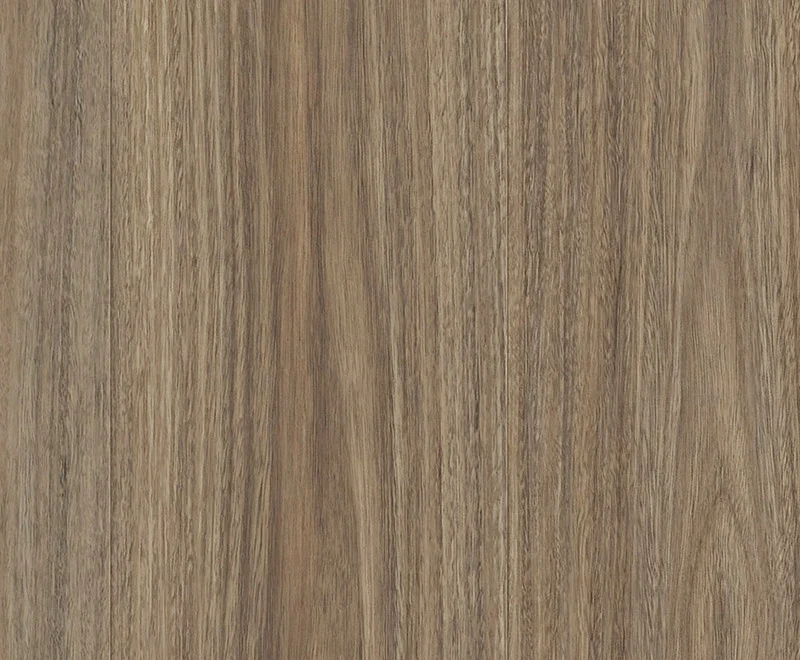 Titania Spotted Gum — Enchanted