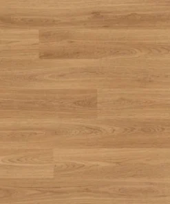 European Oak