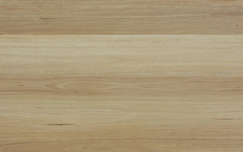 NSW Blackbutt — Fusion