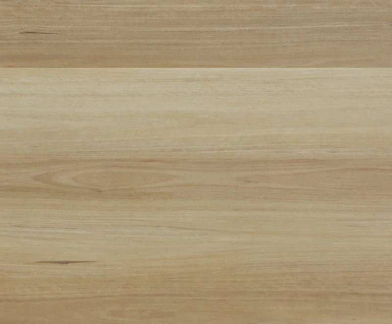 NSW Blackbutt — Fusion