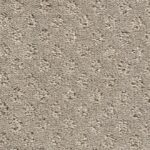 Grey Canvas