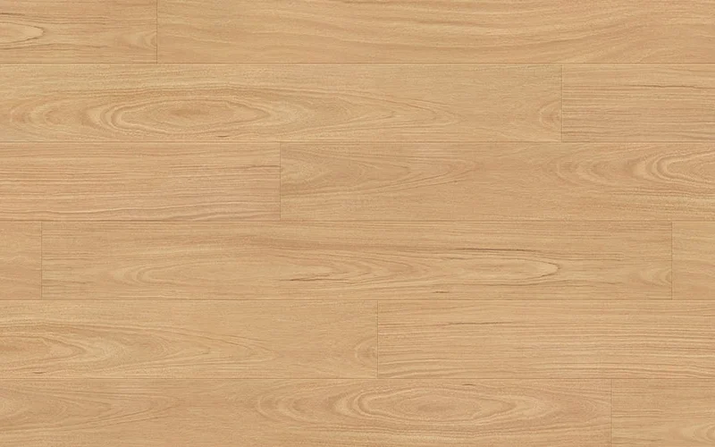 Crimson Ruby Blackbutt — Hydro Merit