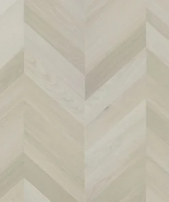 Apollo — Immortal Chevron