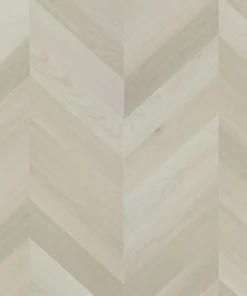 Apollo — Immortal Chevron