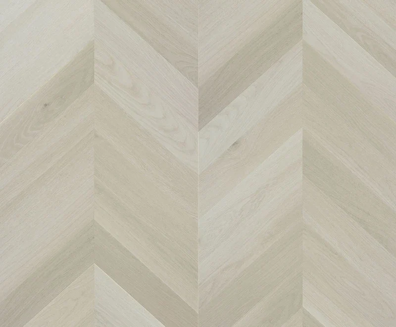 Apollo — Immortal Chevron