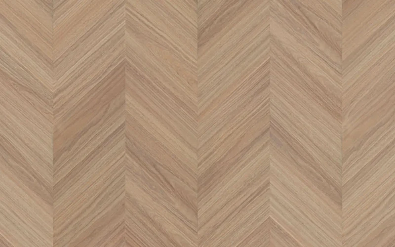 Loki Spotted Gum — Immortal Chevron
