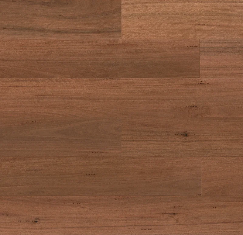 Ironbark — HM WALK