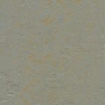 Lakeland Shale