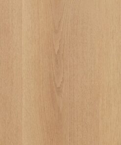 Macadamia