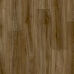 Manchurian Elm
