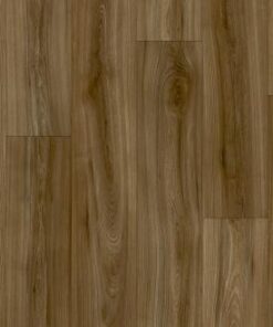 Manchurian Elm