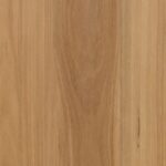Mountain Blackbutt