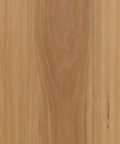 Mountain Blackbutt