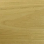 New England Blackbutt