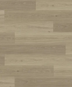 Beach Stone — Ocean