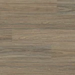 Ocean Colour Lily Spotted Gum