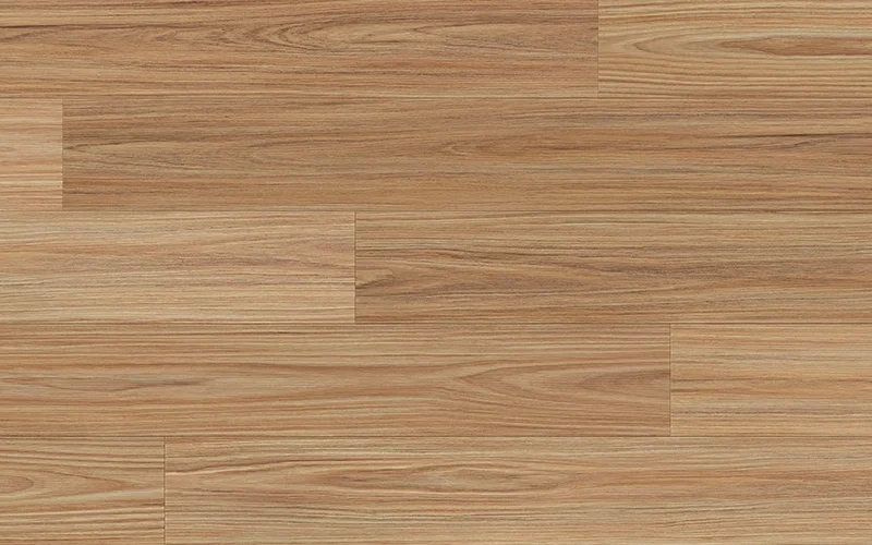 Rosy Blackbutt — Ocean