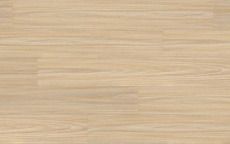 Seaglass Blackbutt — Ocean