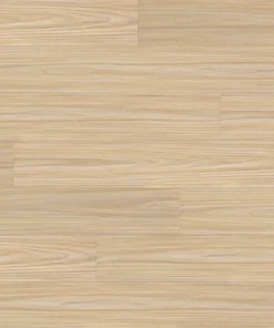 Seaglass Blackbutt — Ocean