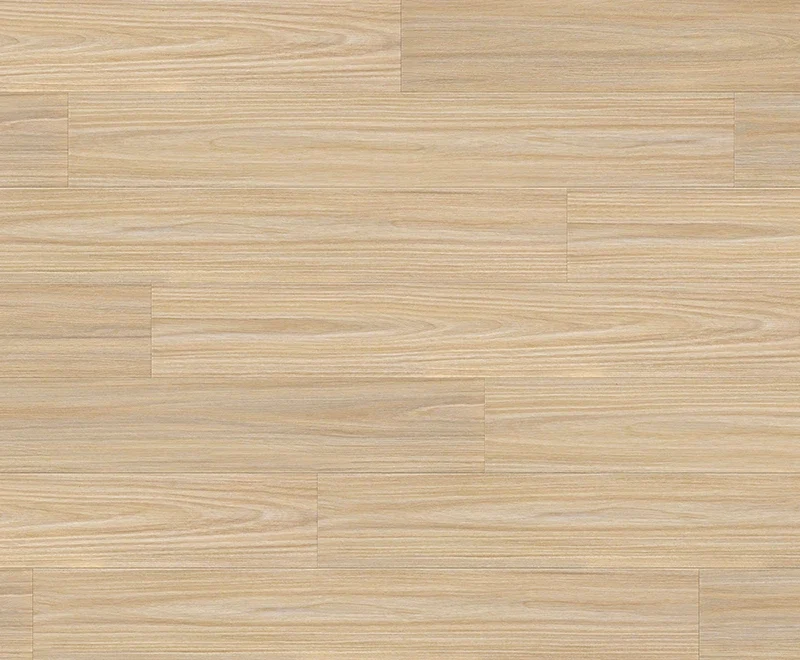 Seaglass Blackbutt — Ocean
