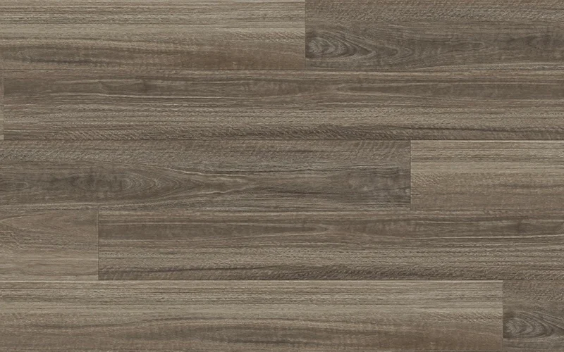 Seaside Spotted Gum — Ocean