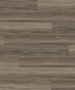 Seaside Spotted Gum — Ocean