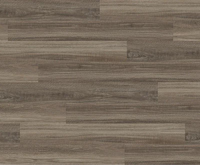 Seaside Spotted Gum — Ocean
