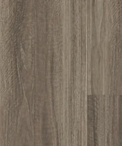 Seaside Spotted Gum — Ocean