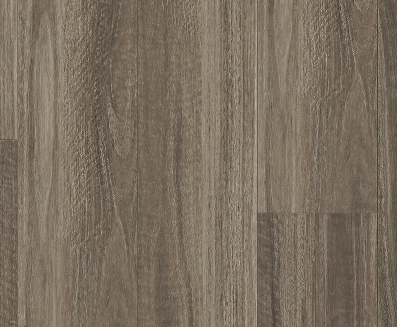 Seaside Spotted Gum — Ocean