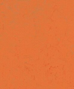 Orange Glow