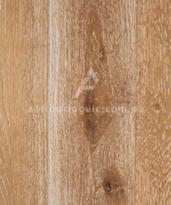 Persian Oak