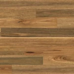 QLD Spotted Gum