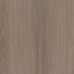 Riverland Spotted Gum