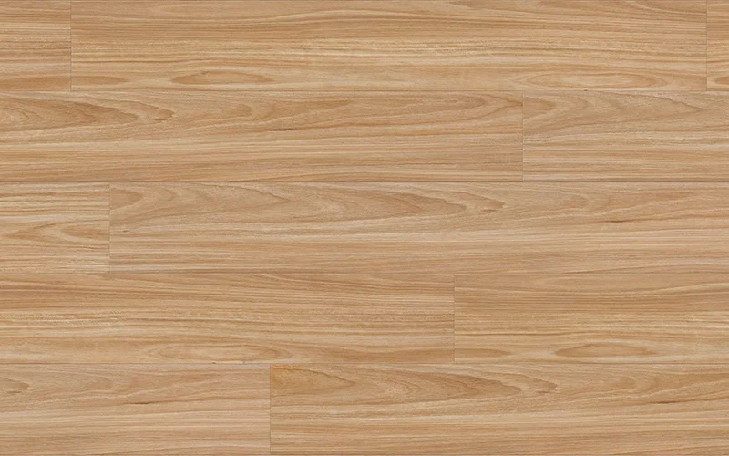 Cabin Blackbutt — Robust