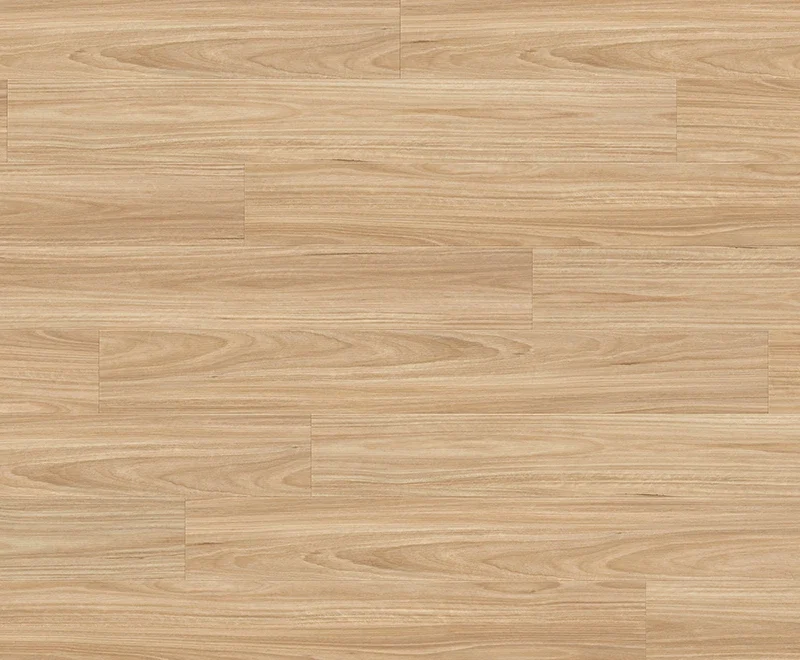 Cabin Blackbutt — Robust