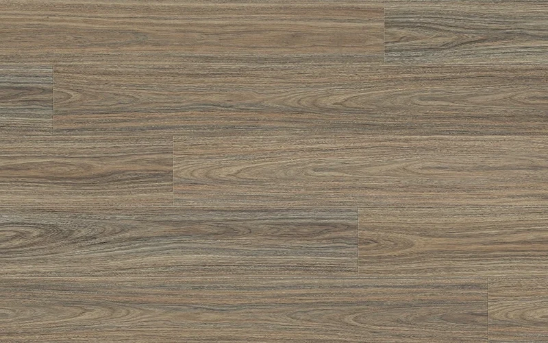 Cabin Spotted Gum — Robust