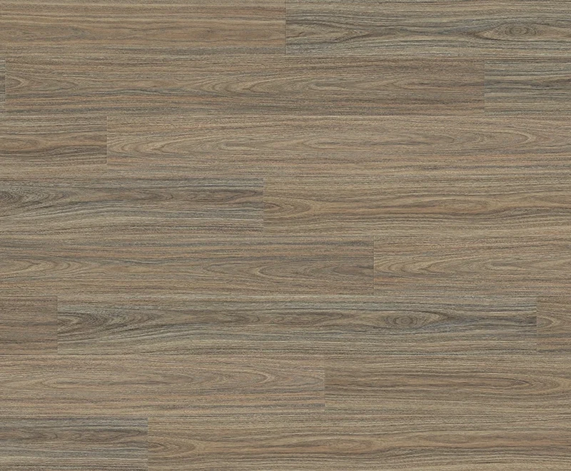 Cabin Spotted Gum — Robust