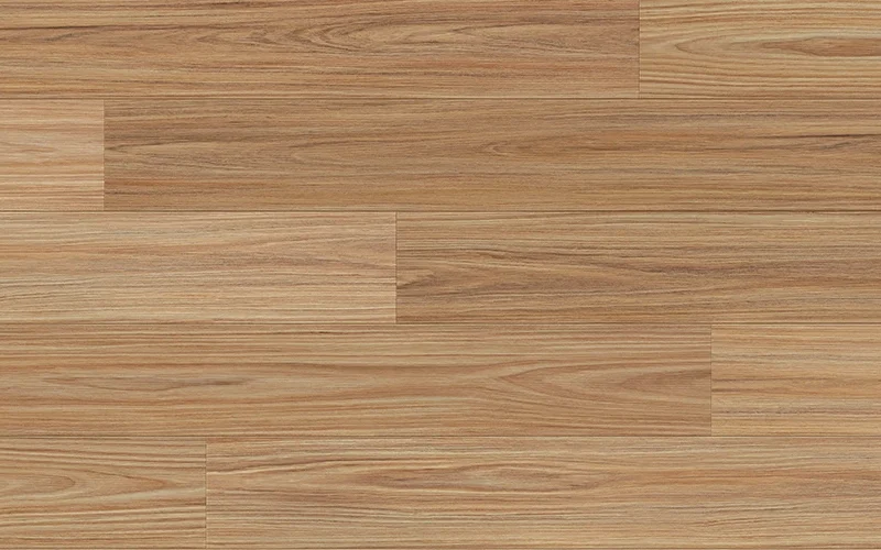 Retreat Blackbutt — Robust
